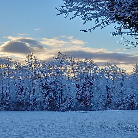 Valreley, Chambres Et Table D'Hotes Eco-Friendly Avec Bain Nordique Au Sud Du Massif Du Jura Champagne-en-Valromey Экстерьер фото